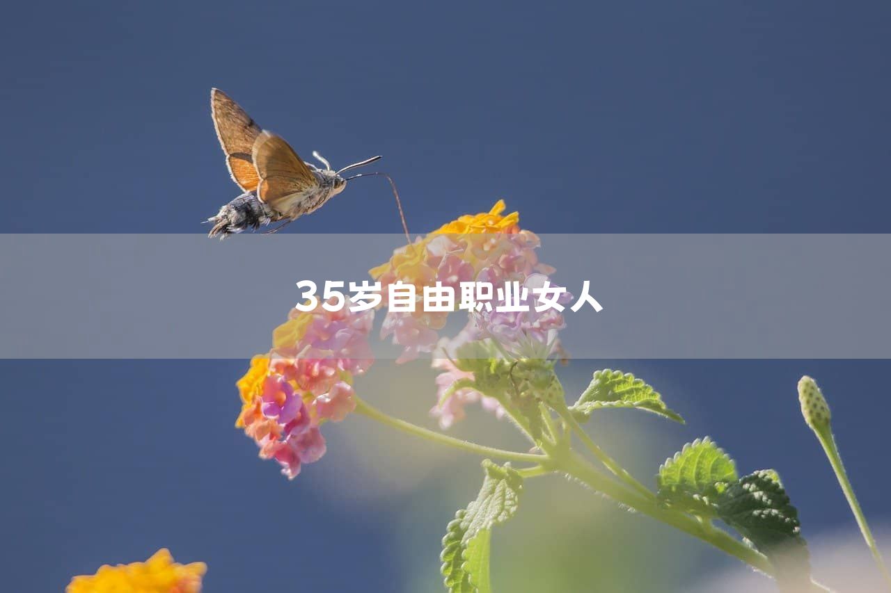 35岁自由职业女人