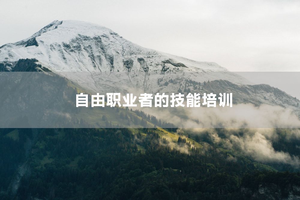 自由职业者的技能培训