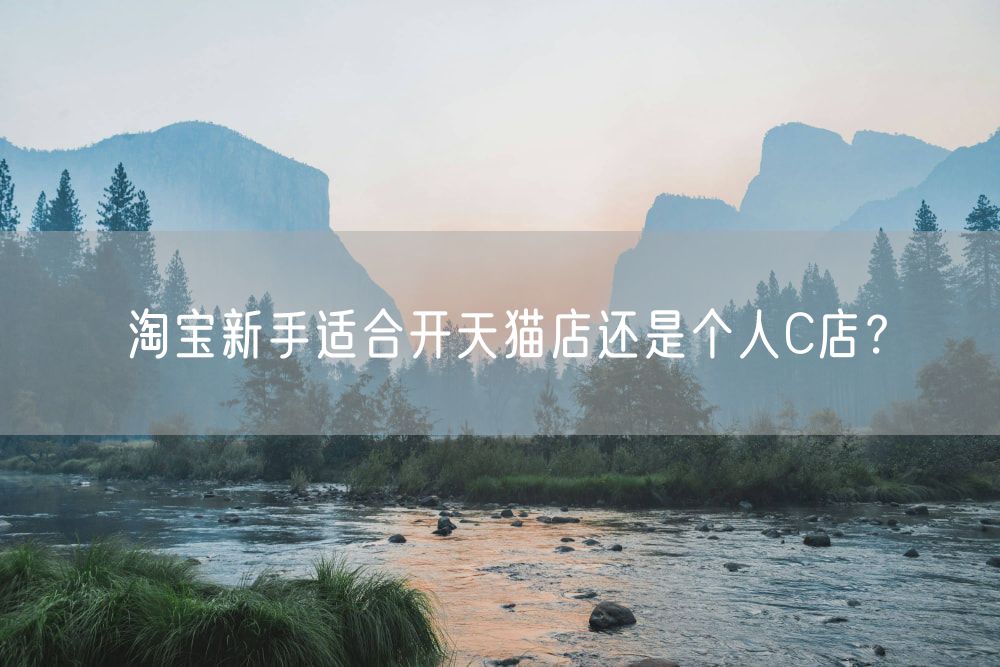 淘宝新手适合开天猫店还是个人C店？