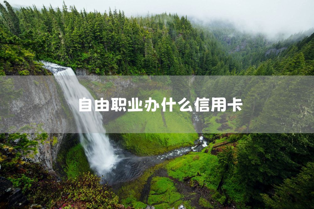 自由职业办什么信用卡