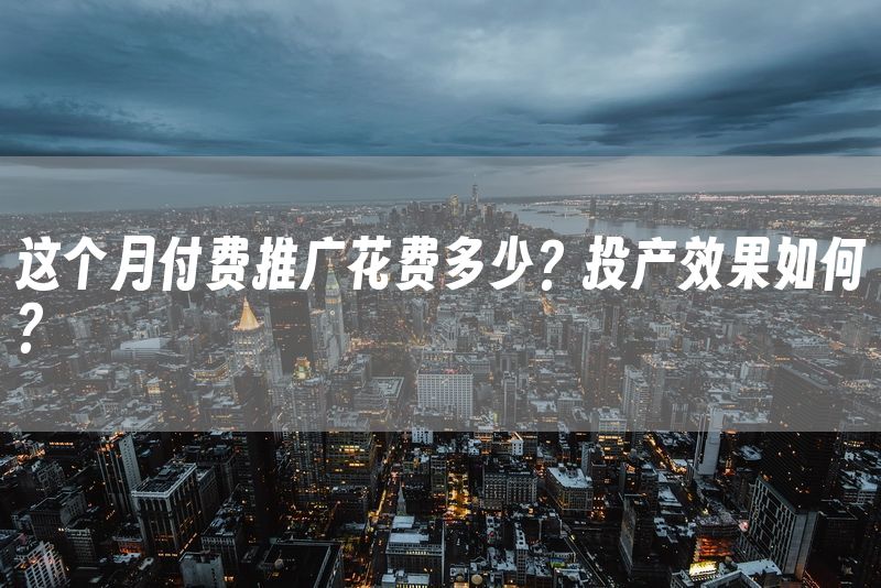 这个月付费推广花费多少？投产效果如何？