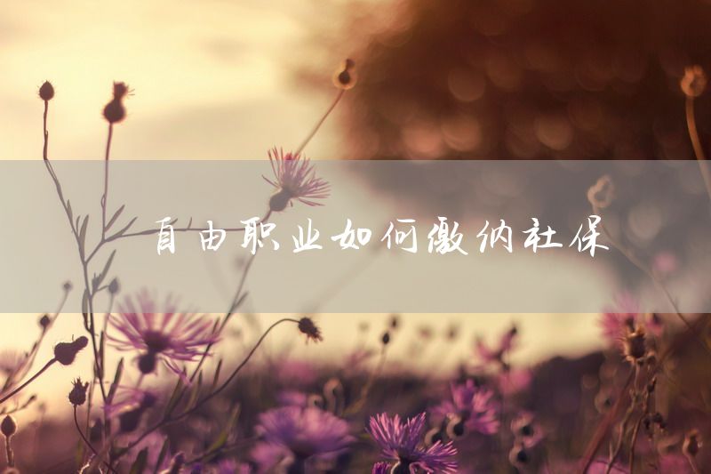 自由职业如何缴纳社保
