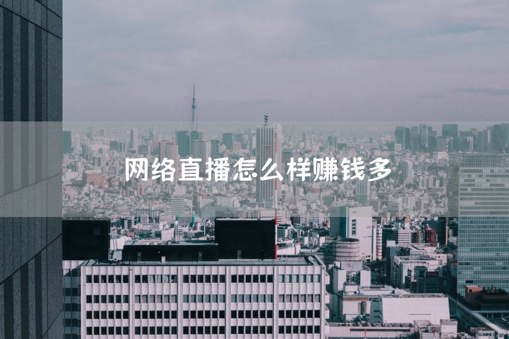网络直播怎么样赚钱多