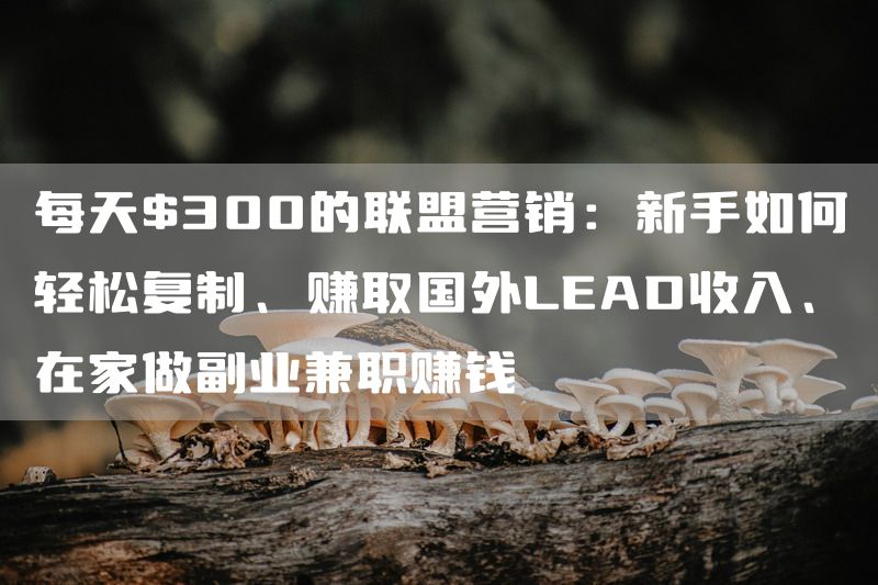 每天$300的联盟营销：新手如何轻松复制、赚取国外LEAD收入、在家做副业兼职赚钱