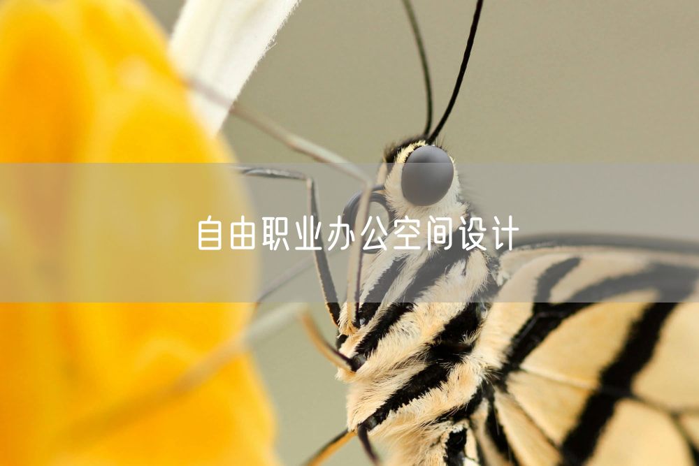 自由职业办公空间设计