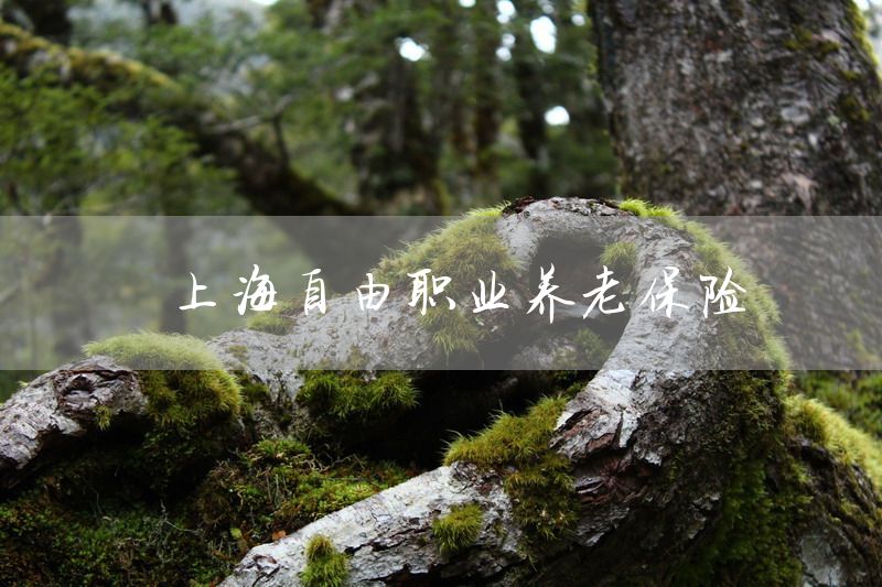 上海自由职业养老保险