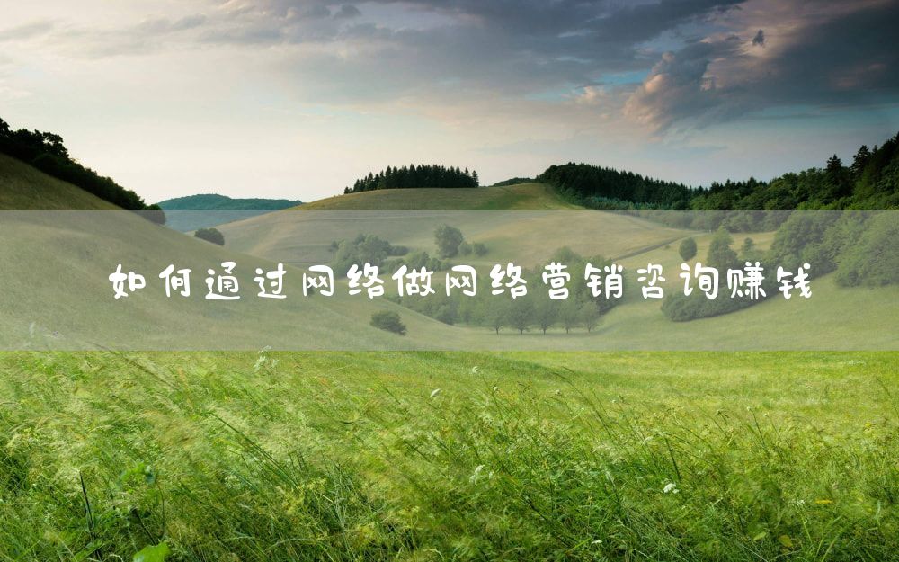 如何通过网络做网络营销咨询赚钱