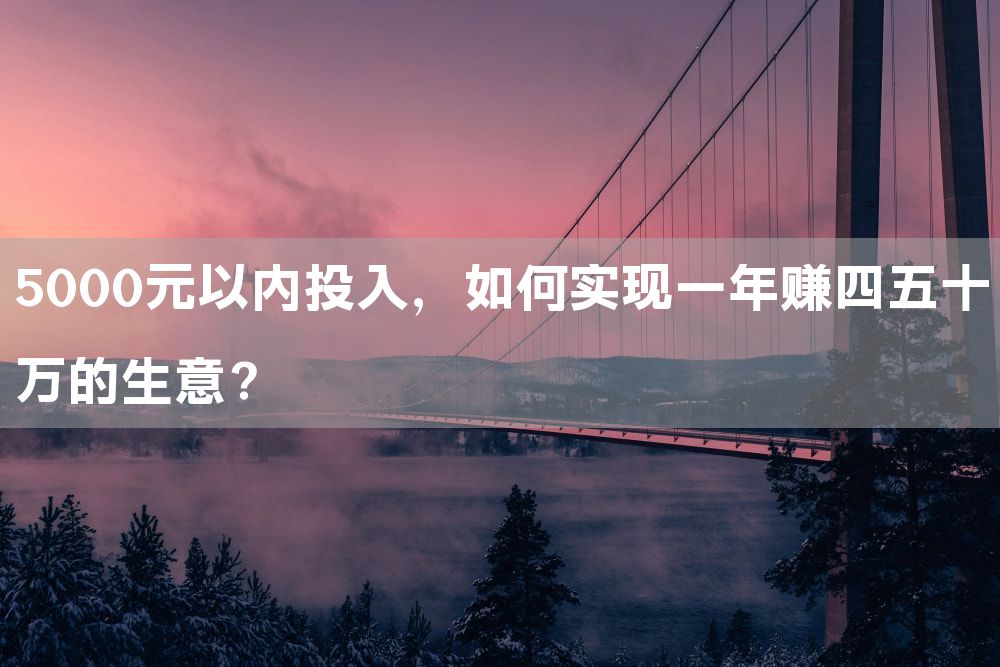 5000元以内投入，如何实现一年赚四五十万的生意？