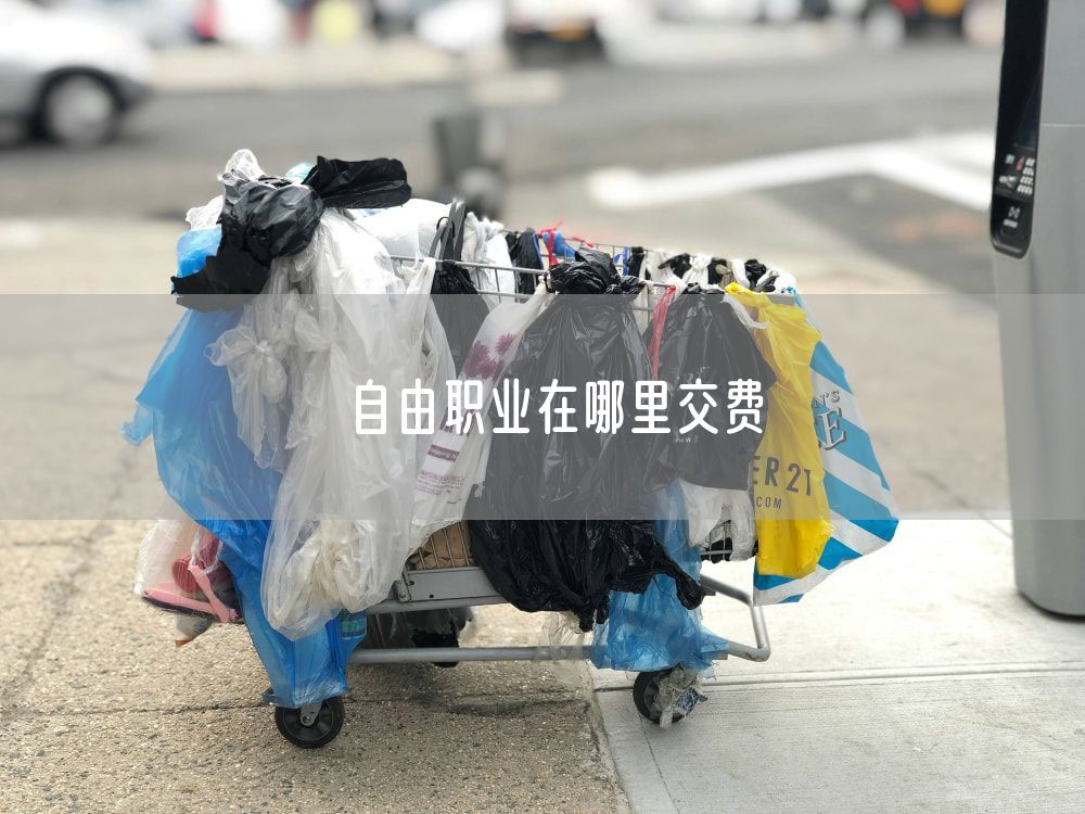 自由职业在哪里交费