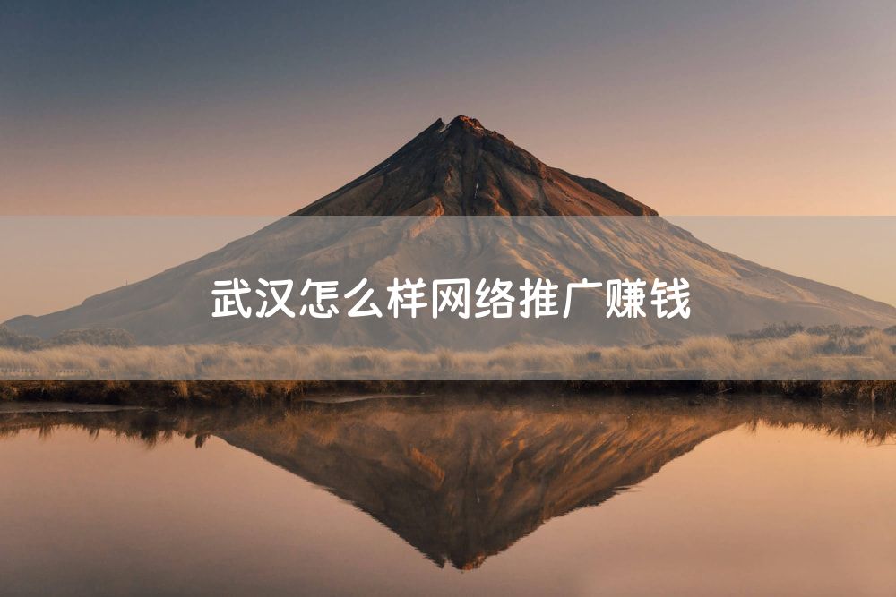 武汉怎么样网络推广赚钱
