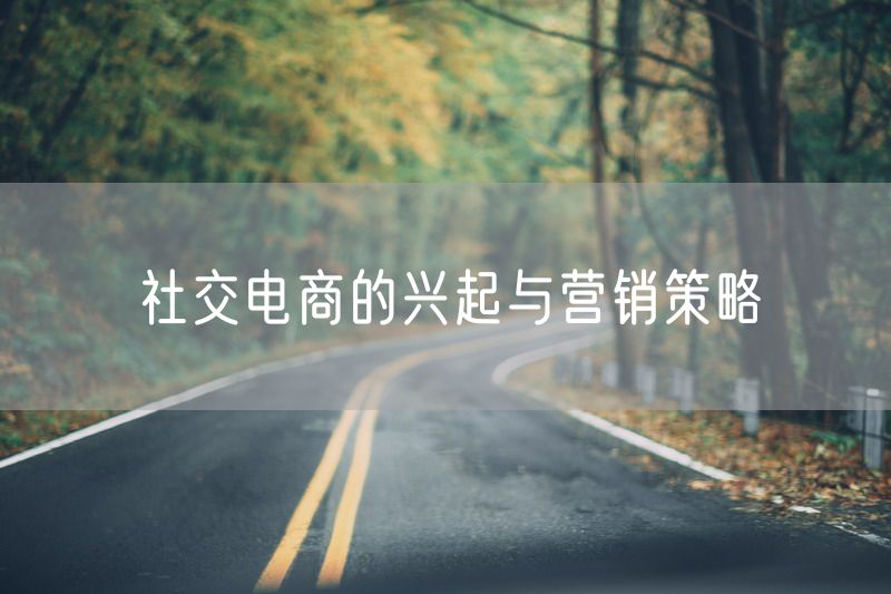 社交电商的兴起与营销策略