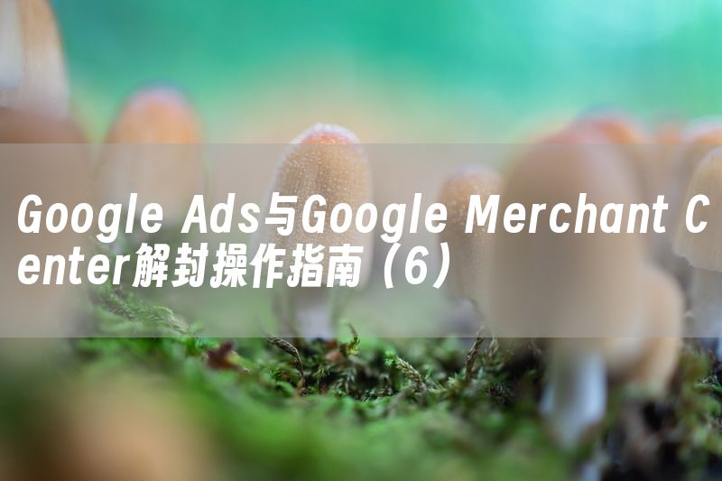 Google Ads与Google Merchant Center解封操作指南（6）
