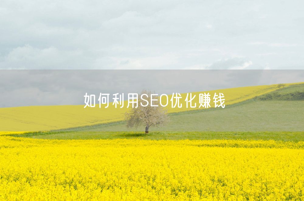 如何利用SEO优化赚钱