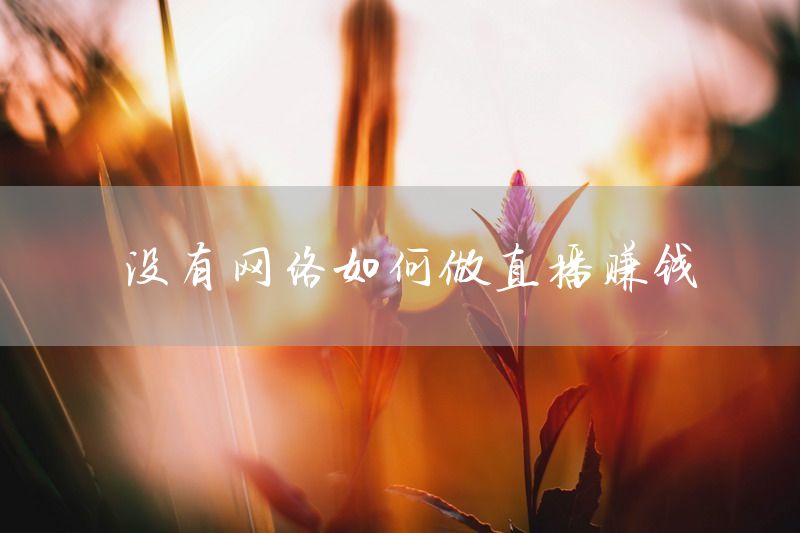 没有网络如何做直播赚钱