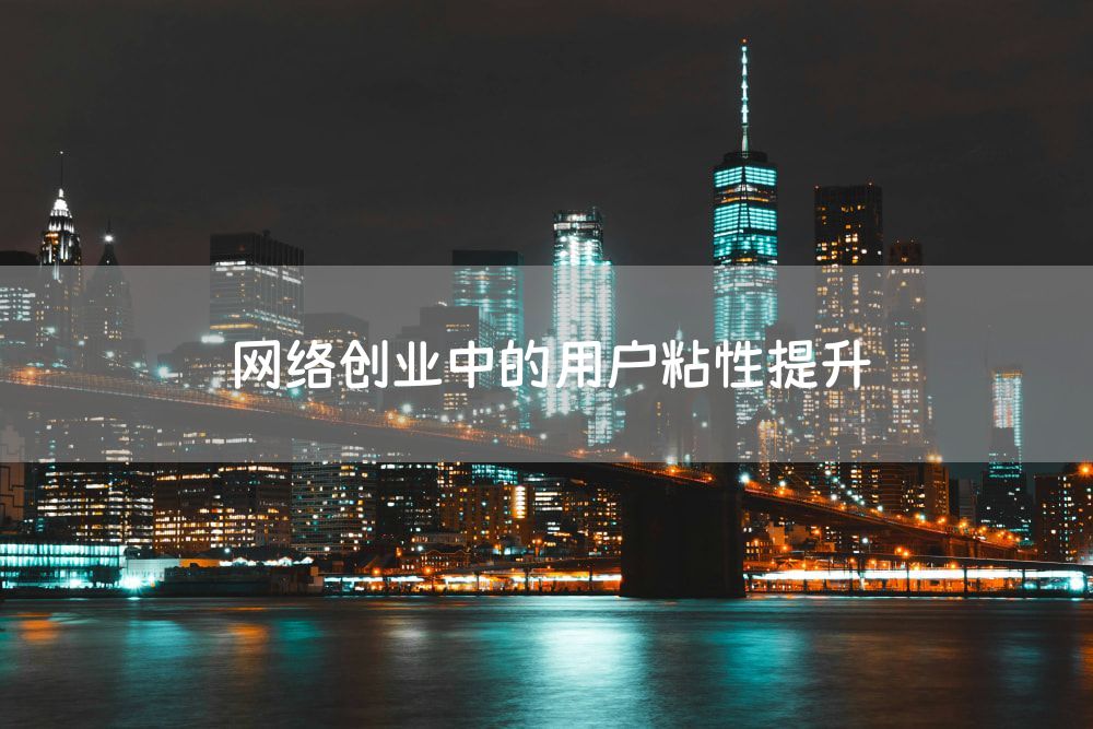 网络创业中的用户粘性提升