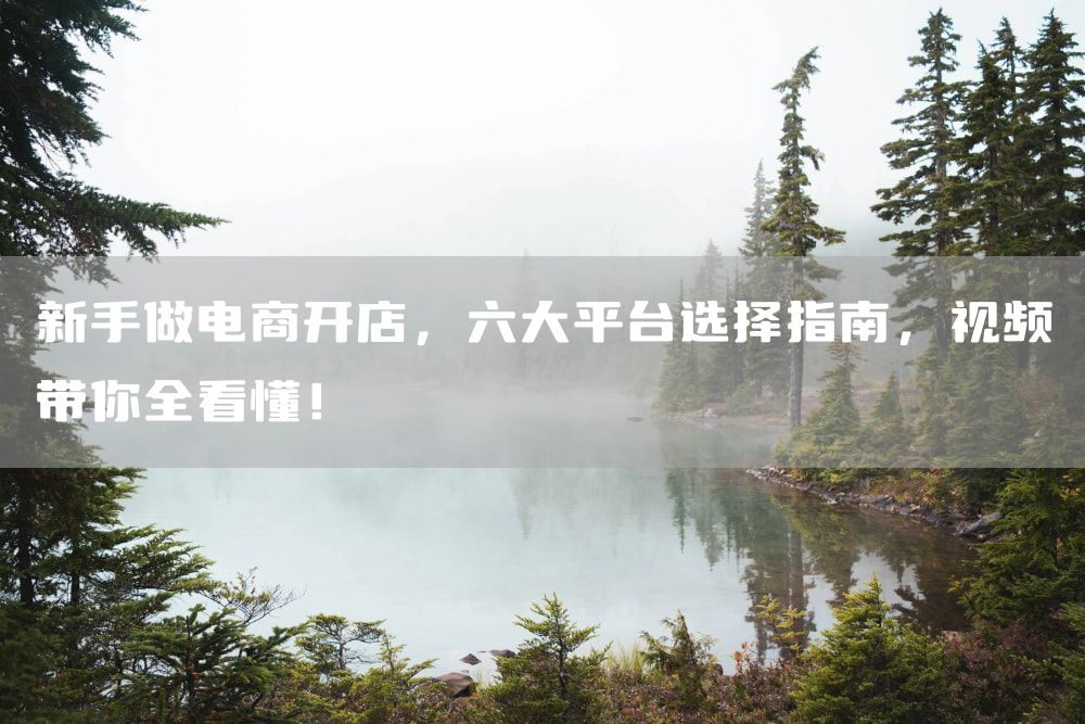 新手做电商开店，六大平台选择指南，视频带你全看懂！