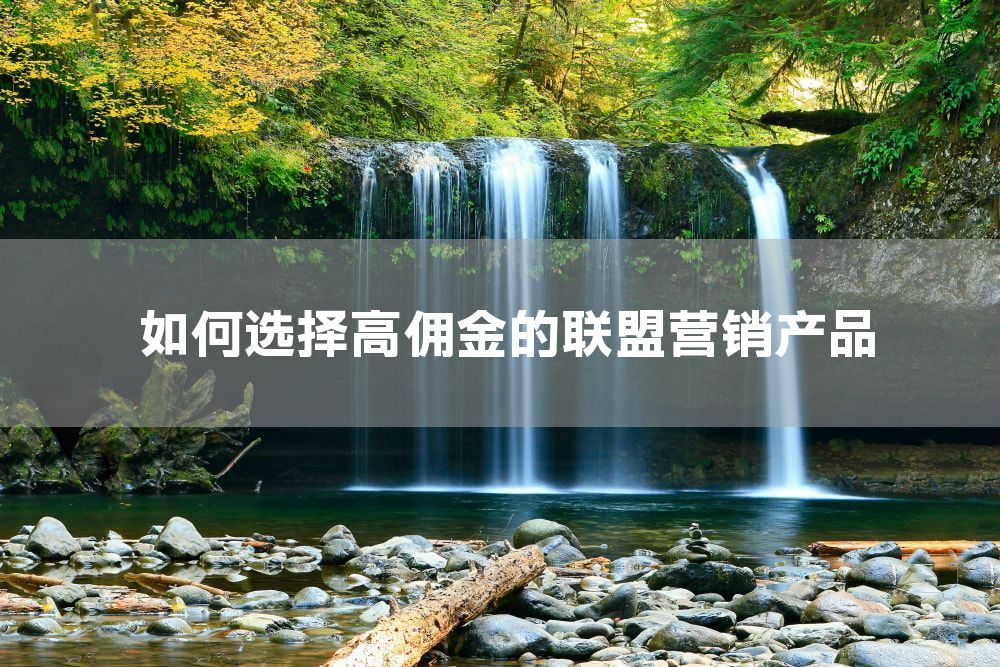 如何选择高佣金的联盟营销产品