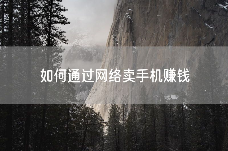 如何通过网络卖手机赚钱