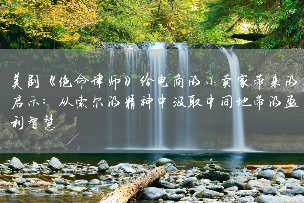 美剧《绝命律师》给电商的小卖家带来的启示：从索尔的精神中汲取中间地带的盈利智慧
