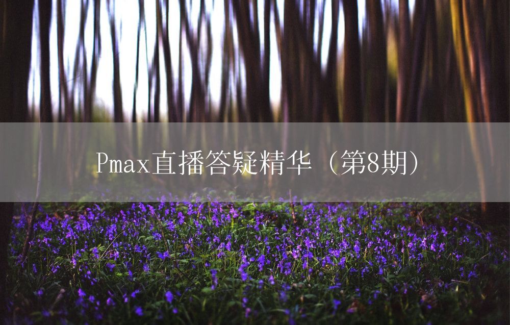 Pmax直播答疑精华（第8期）