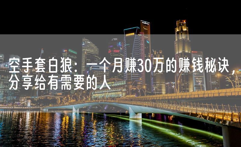 空手套白狼：一个月赚30万的赚钱秘诀，分享给有需要的人