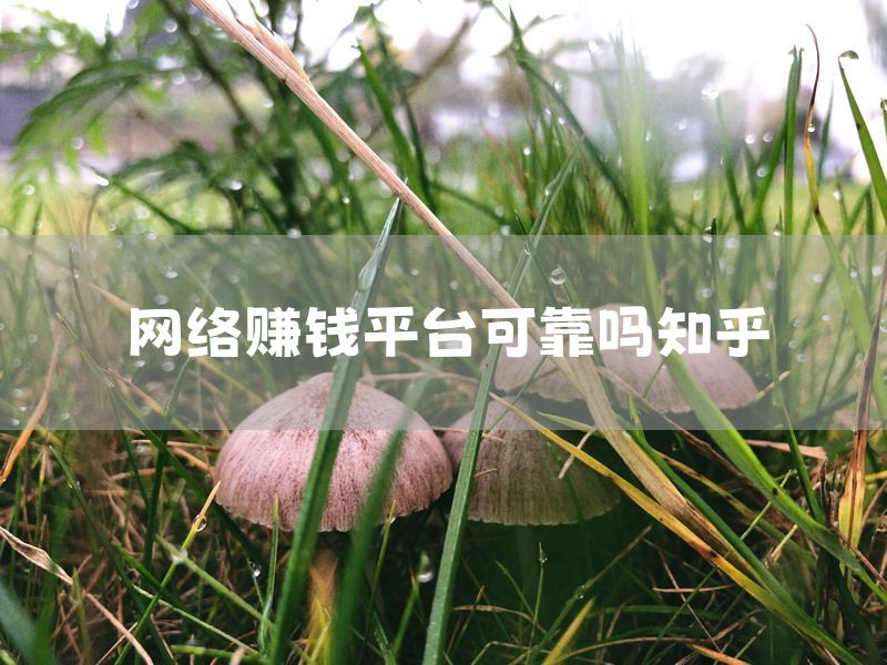 网络赚钱平台可靠吗知乎