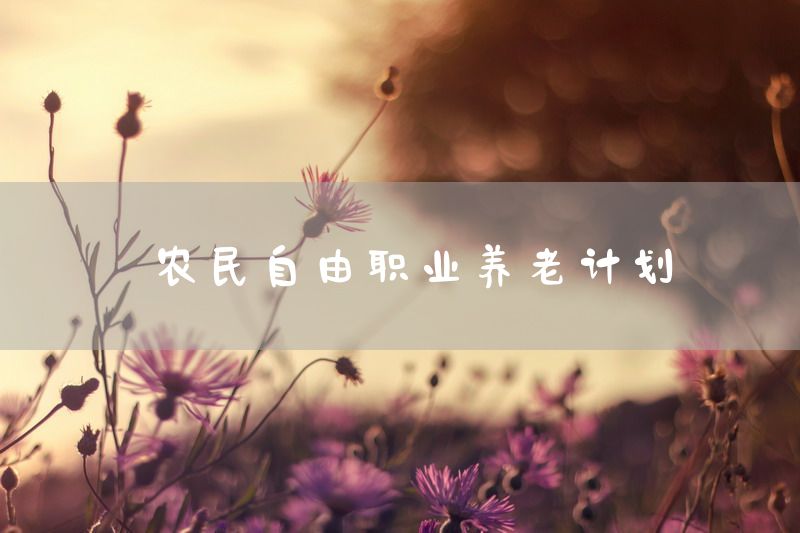 农民自由职业养老计划