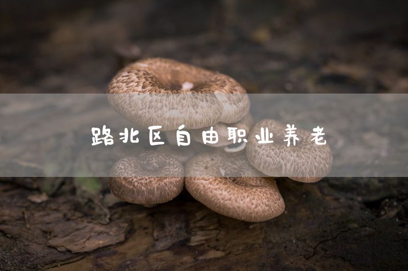 路北区自由职业养老
