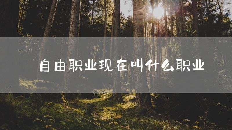 自由职业现在叫什么职业
