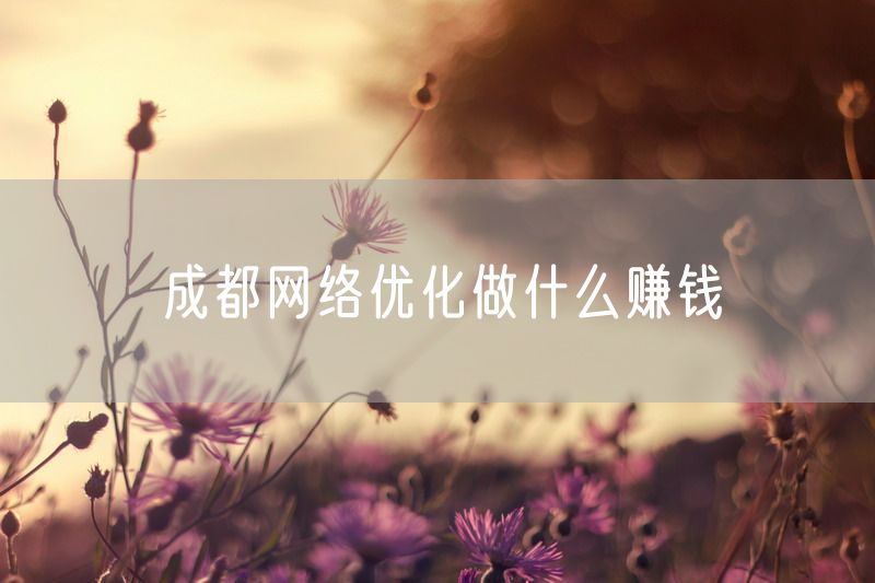 成都网络优化做什么赚钱