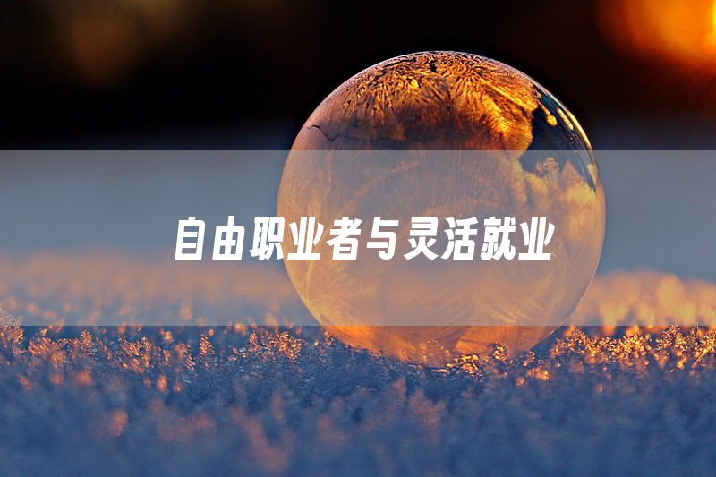 自由职业者与灵活就业