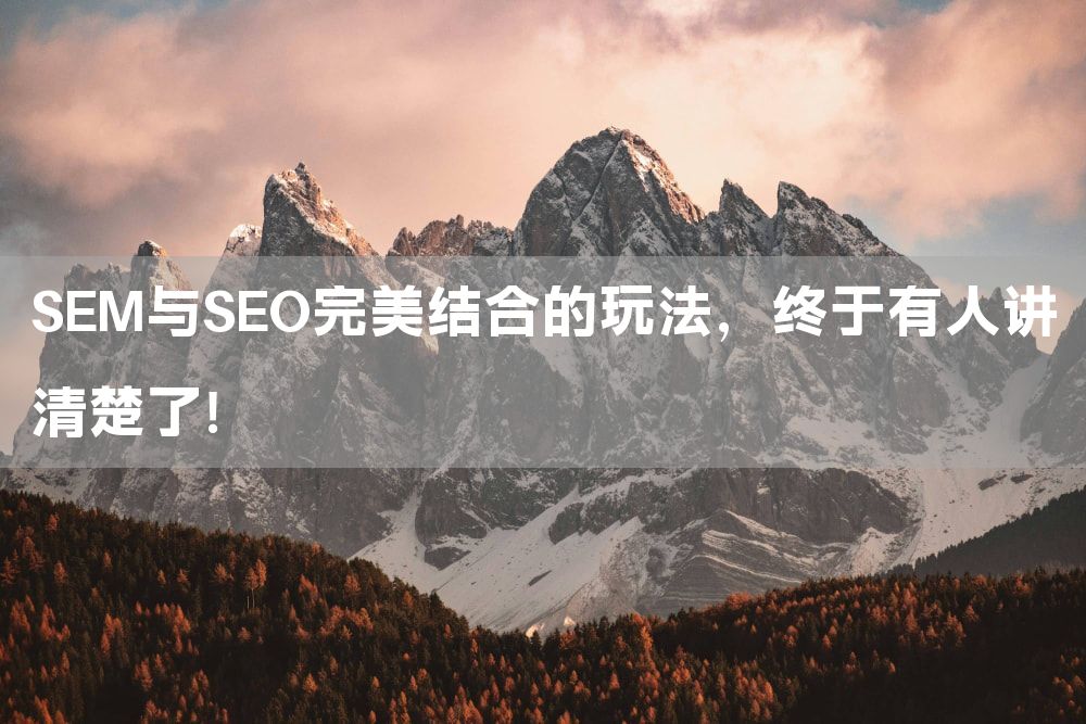 SEM与SEO完美结合的玩法，终于有人讲清楚了！