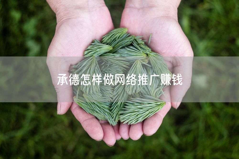 承德怎样做网络推广赚钱
