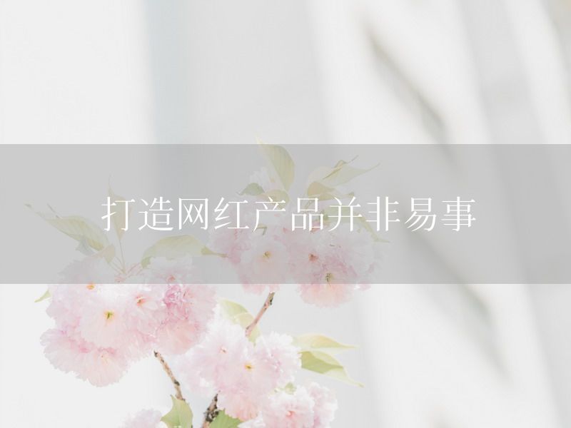 打造网红产品并非易事