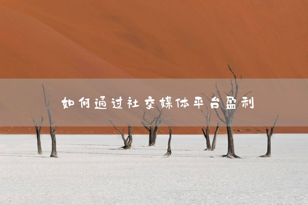 如何通过社交媒体平台盈利
