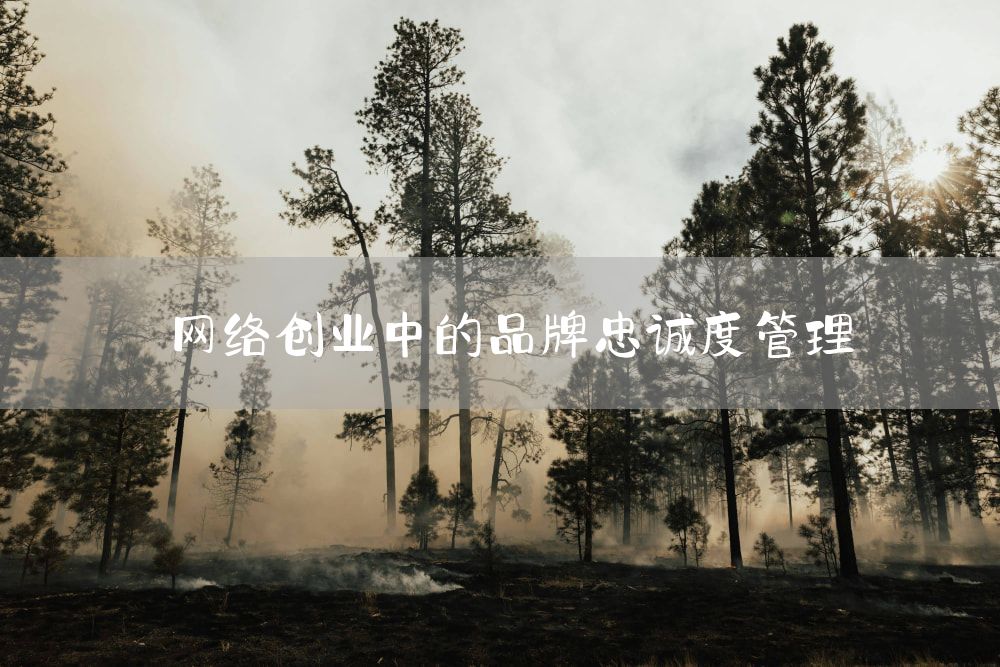 网络创业中的品牌忠诚度管理