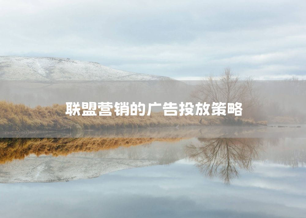 联盟营销的广告投放策略