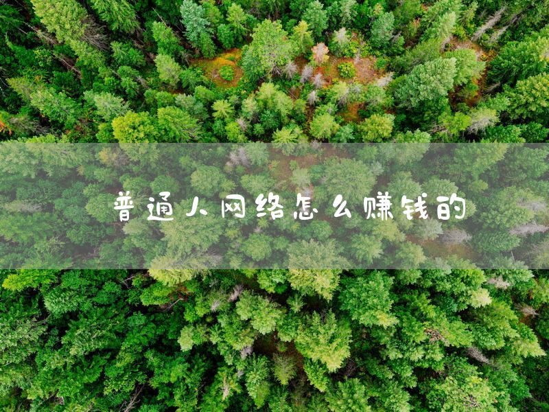 普通人网络怎么赚钱的