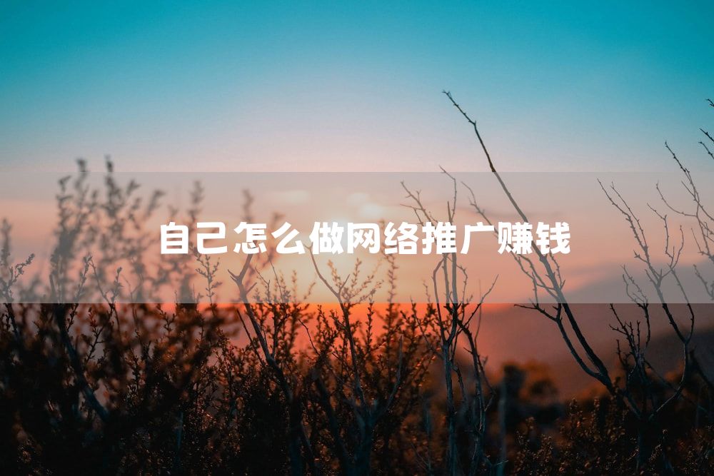 自己怎么做网络推广赚钱