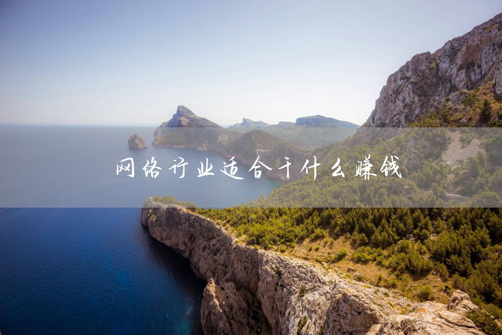 网络行业适合干什么赚钱