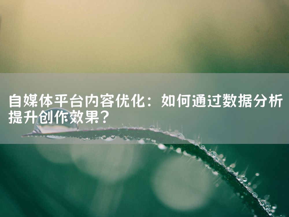自媒体平台内容优化：如何通过数据分析提升创作效果？