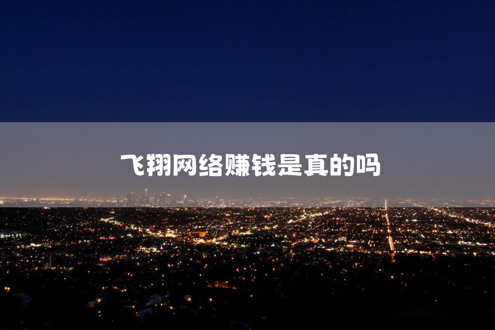 飞翔网络赚钱是真的吗