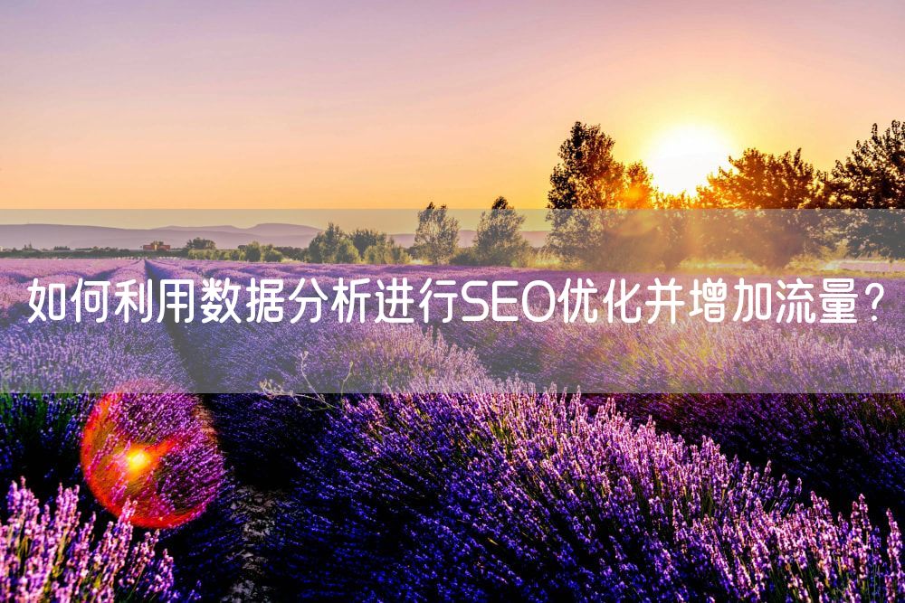 如何利用数据分析进行SEO优化并增加流量？