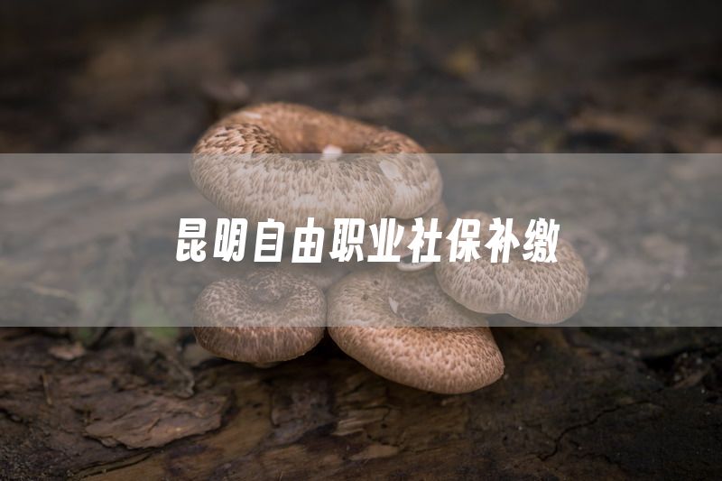 昆明自由职业社保补缴