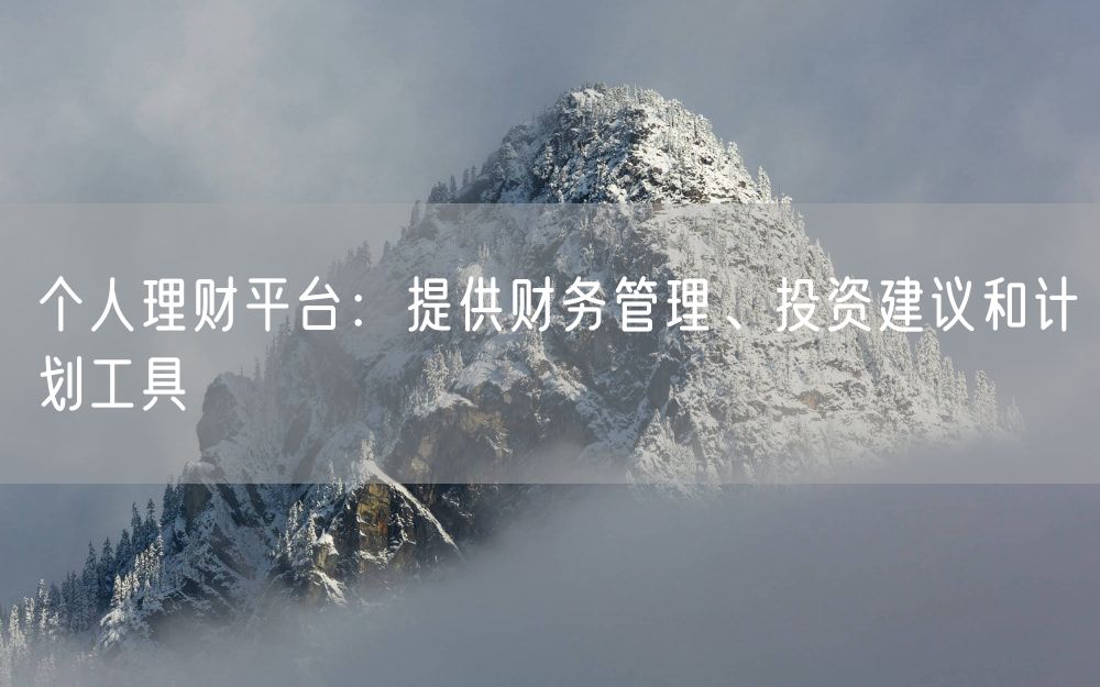 个人理财平台：提供财务管理、投资建议和计划工具