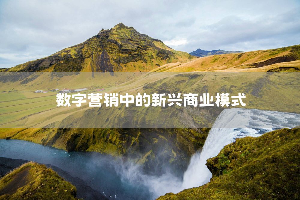 数字营销中的新兴商业模式