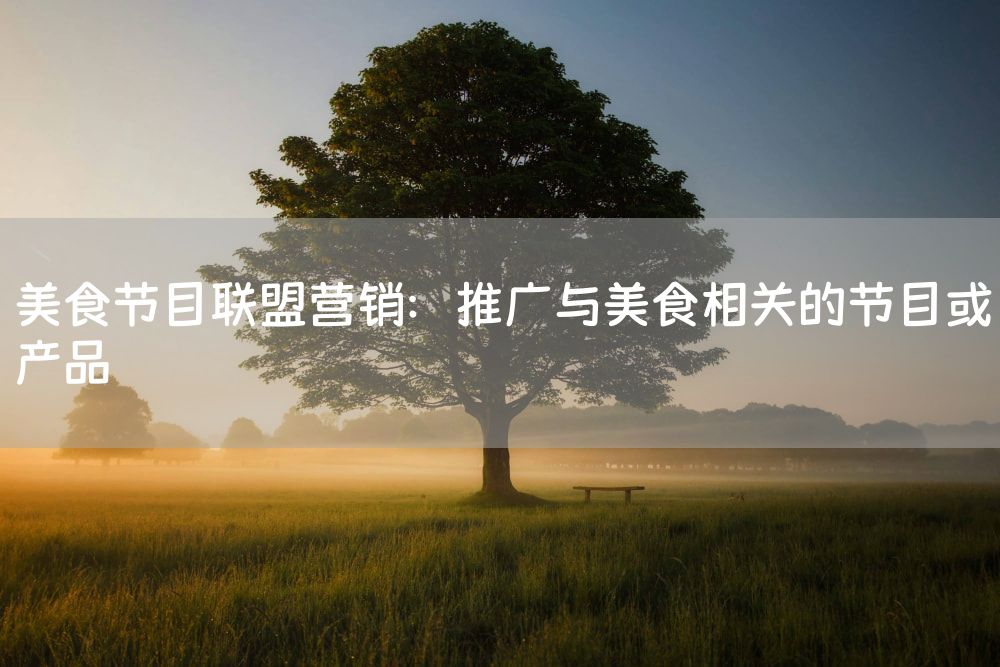 美食节目联盟营销：推广与美食相关的节目或产品