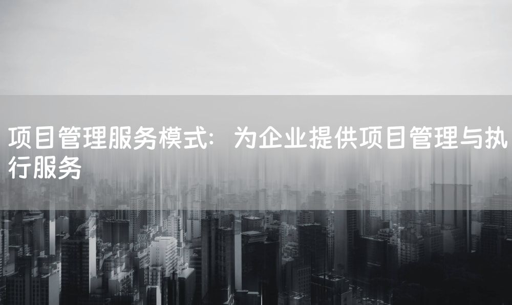 项目管理服务模式：为企业提供项目管理与执行服务