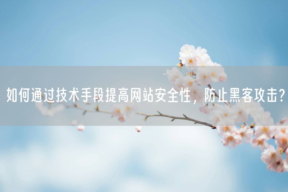 如何通过技术手段提高网站安全性，防止黑客攻击？