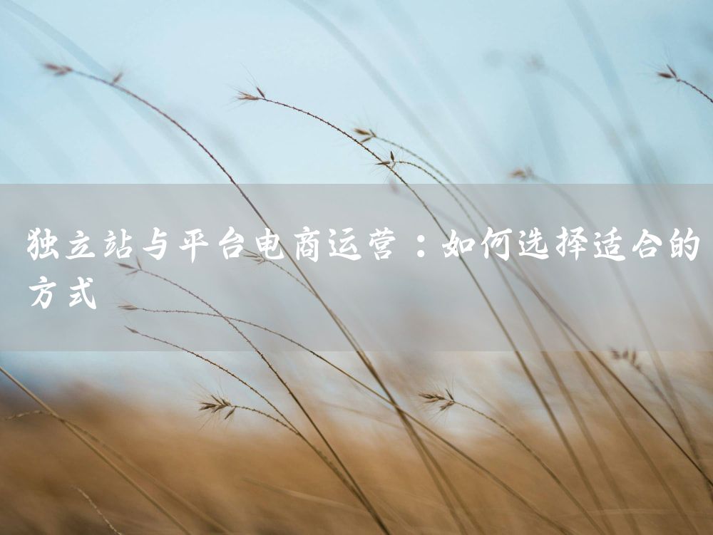 独立站与平台电商运营：如何选择适合的方式